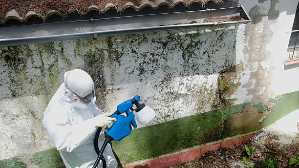 Trusted Mold Remediation service in Seanor, PA - Cheap Mold Removal